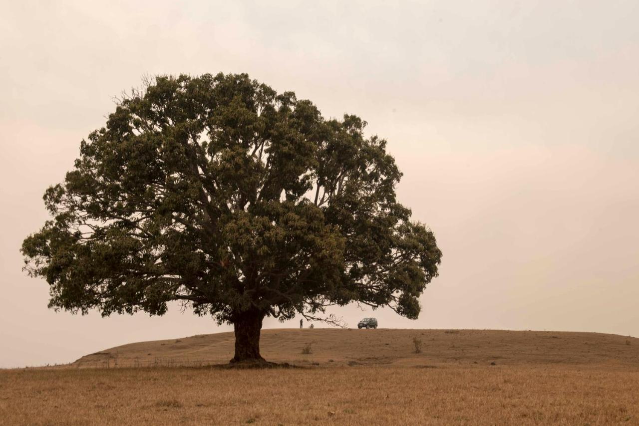 Baghvan Pench National Park - A Taj Safari Lodge Behrai エクステリア 写真
